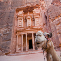 Egypt and Jordan Tours